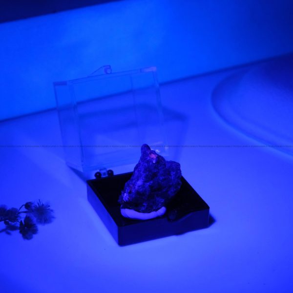 Natural Yooperlite Mineral glow in Blue light