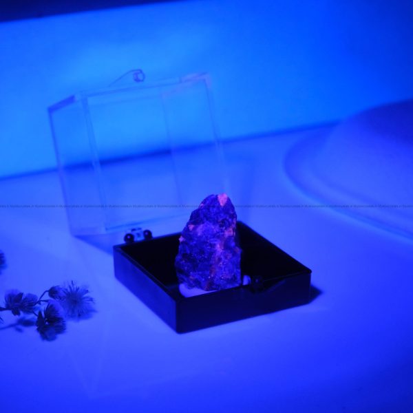 Natural Yooperlite Mineral glow in Blue light