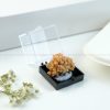 Natural Heulandite Mineral