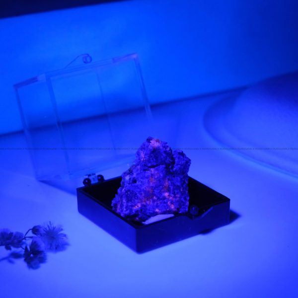 Natural Yooperlite Mineral glow in Blue light