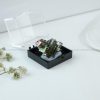 Natural Bismuth Crystal Mineral