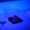 Natural Yooperlite Mineral glow in Blue light