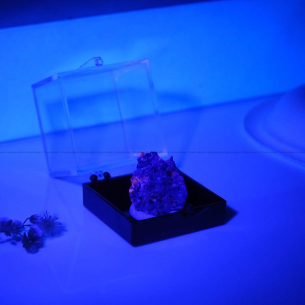 Natural Yooperlite Mineral glow in Blue light