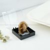 Natural Desert Rose Mineral