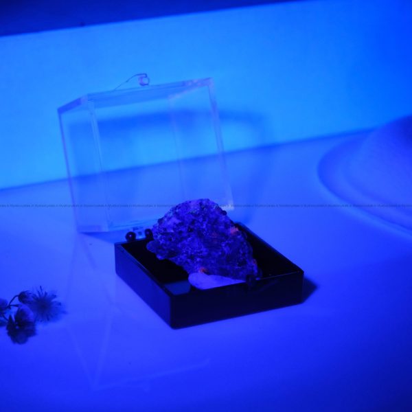 Natural Yooperlite Mineral glow in Blue light
