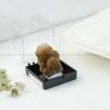 Natural Desert Rose Mineral