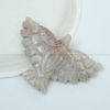 Sunstone Flying Eagle