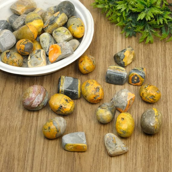 Bumble Bee Jasper Tumble