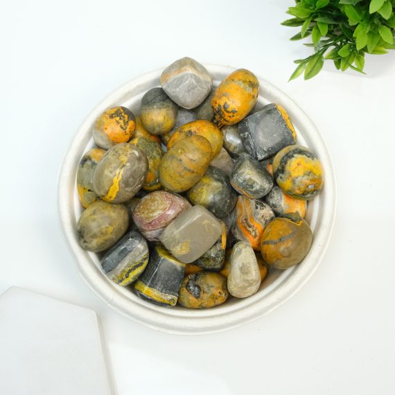 Bumble Bee Jasper Tumble