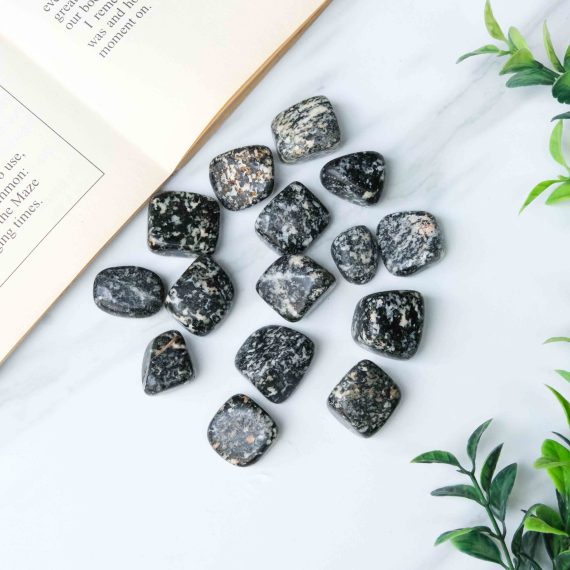 Zebra Jasper Tumble