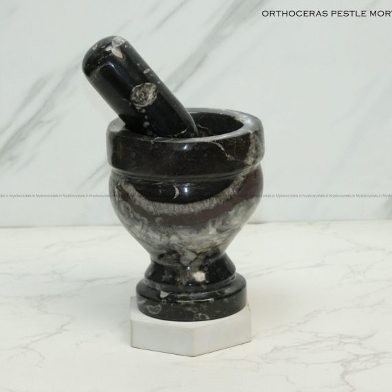 Natural Kuber Stone Orthoceras Fossil Mortar & Pestle