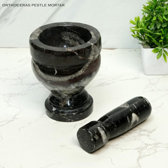 Natural Kuber Stone Orthoceras Fossil Mortar & Pestle