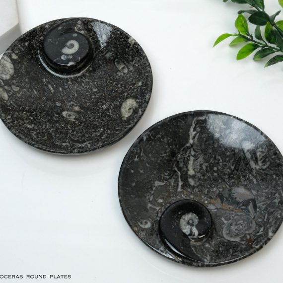 Natural Kuber Stone (Orthoceras Fossil) Round Plate