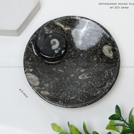 Natural Kuber Stone (Orthoceras Fossil) Round Plate