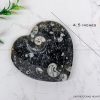 Natural Kuber Stone (Orthoceras Fossil) Heart Shape Plate