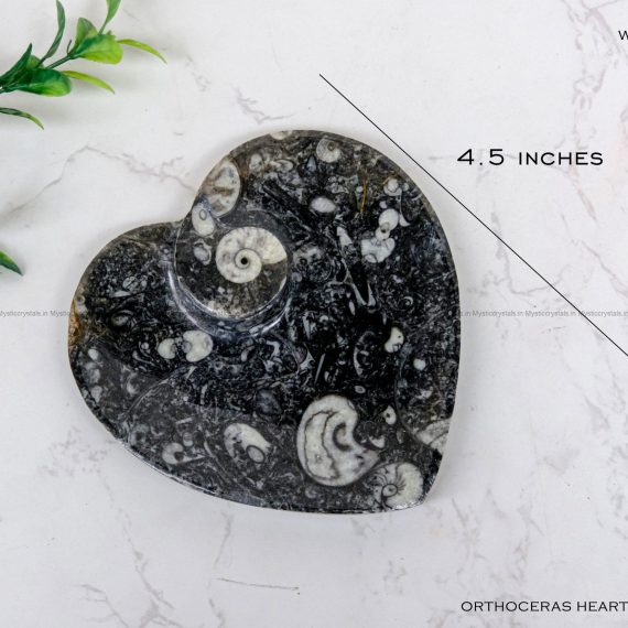 Natural Kuber Stone (Orthoceras Fossil) Heart Shape Plate