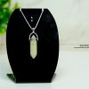 Serpentine Pointer Pendant