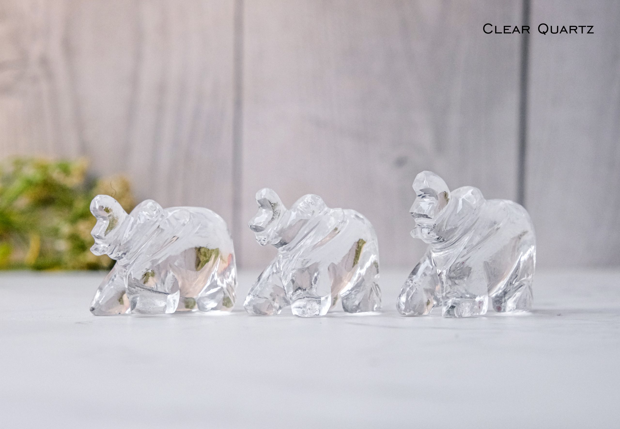 Clear Quartz Crystal Elephant