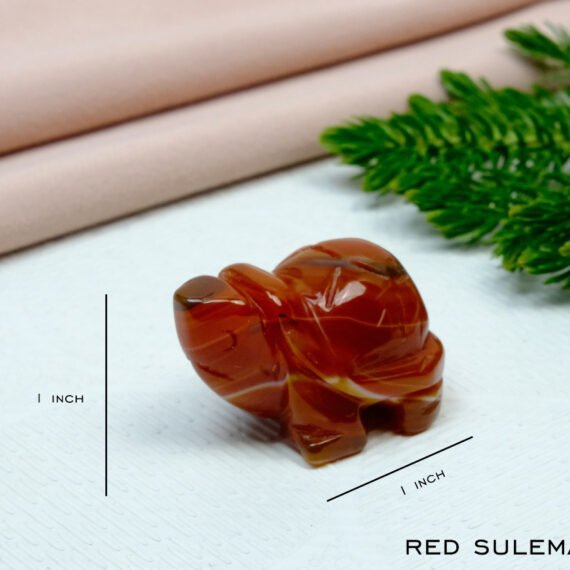 Red Sulemani Crystal Tortoise