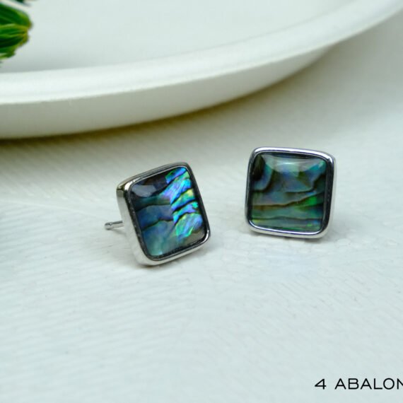 Natural Abalone Shell Earrings