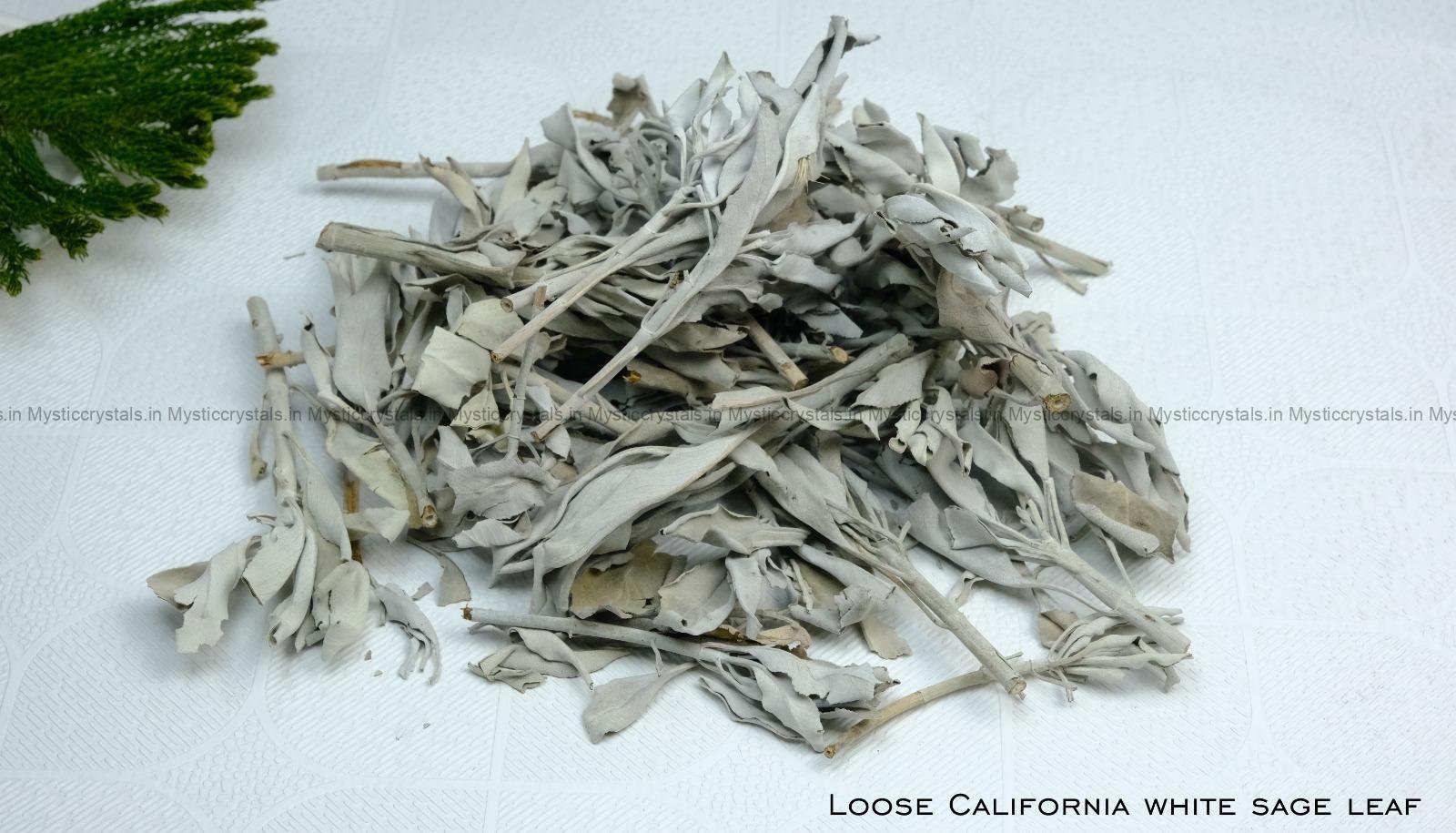 Loose California White Sage