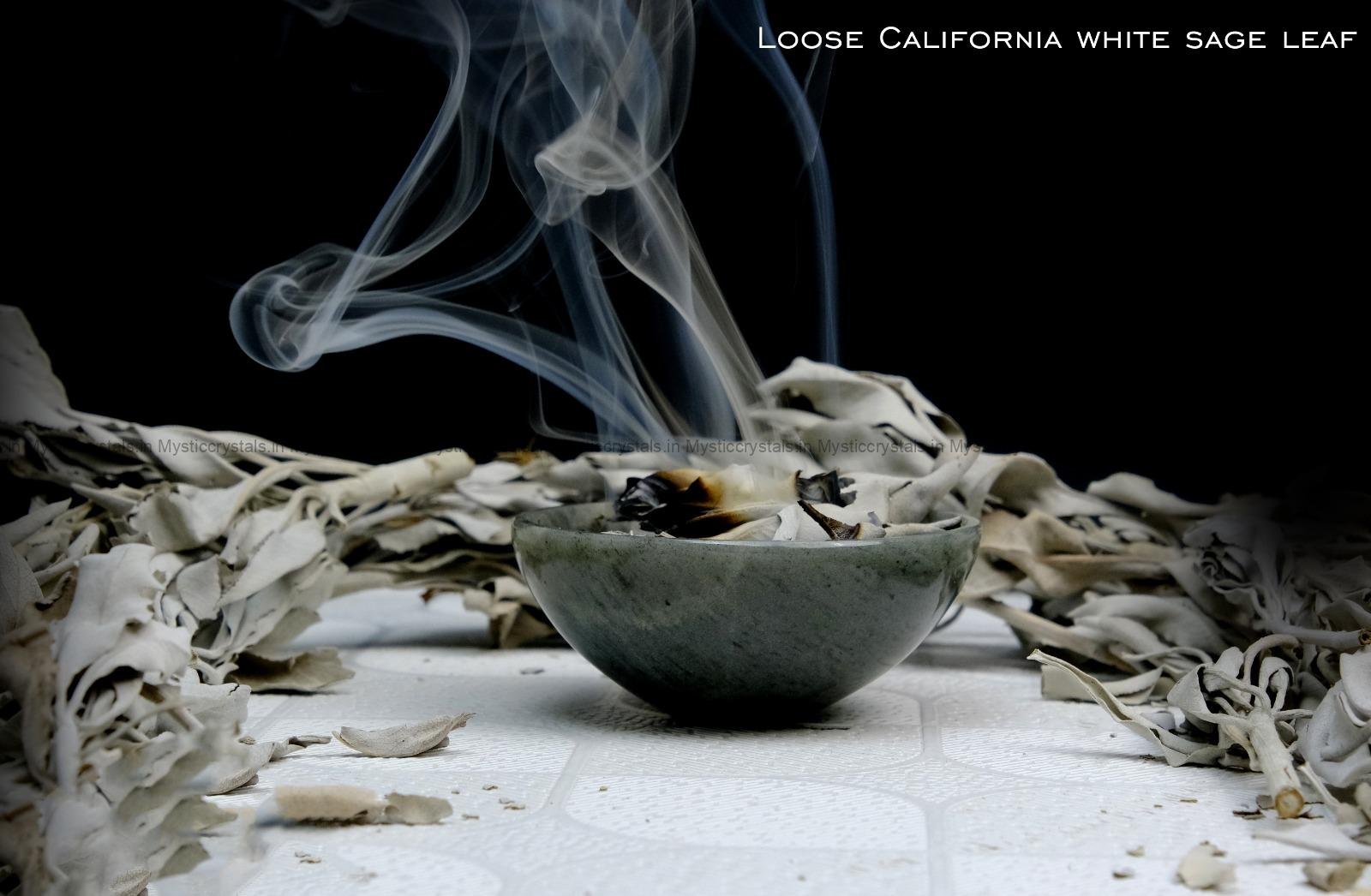 Loose California White Sage