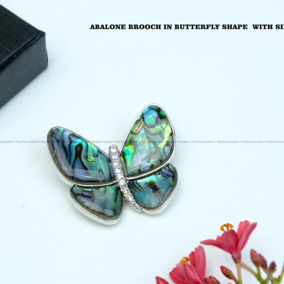 Abalone Shell Brooch in Butterfly Shape with Silver Frame