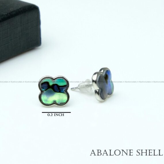 Natural Abalone Shell Stud Earrings